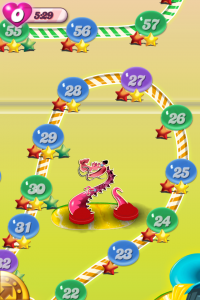 I survived! Someone get me a medal!